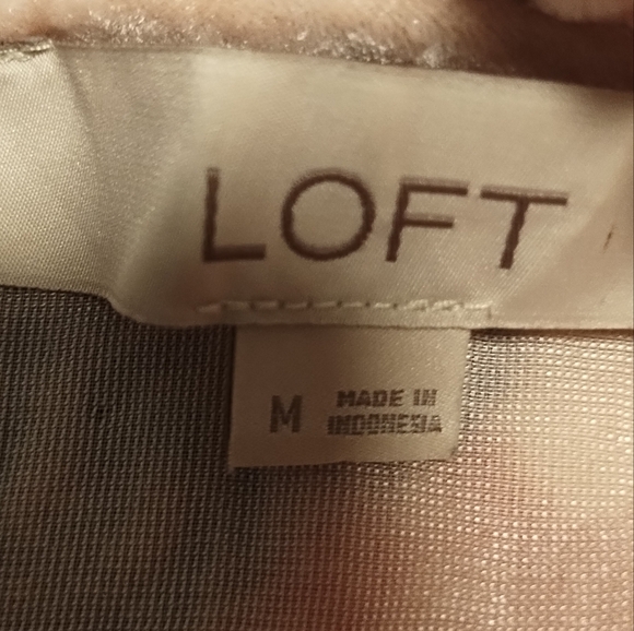 LOFT Pink Ruffled Bib Collar Velvety Blouse - Picture 11 of 12